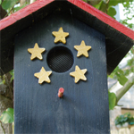 bird house installed